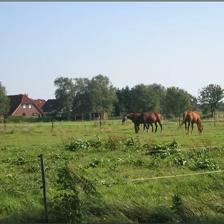 Ferienappartement Venske * Warsingsfehn
